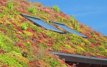 Mangrove Green living roof systems